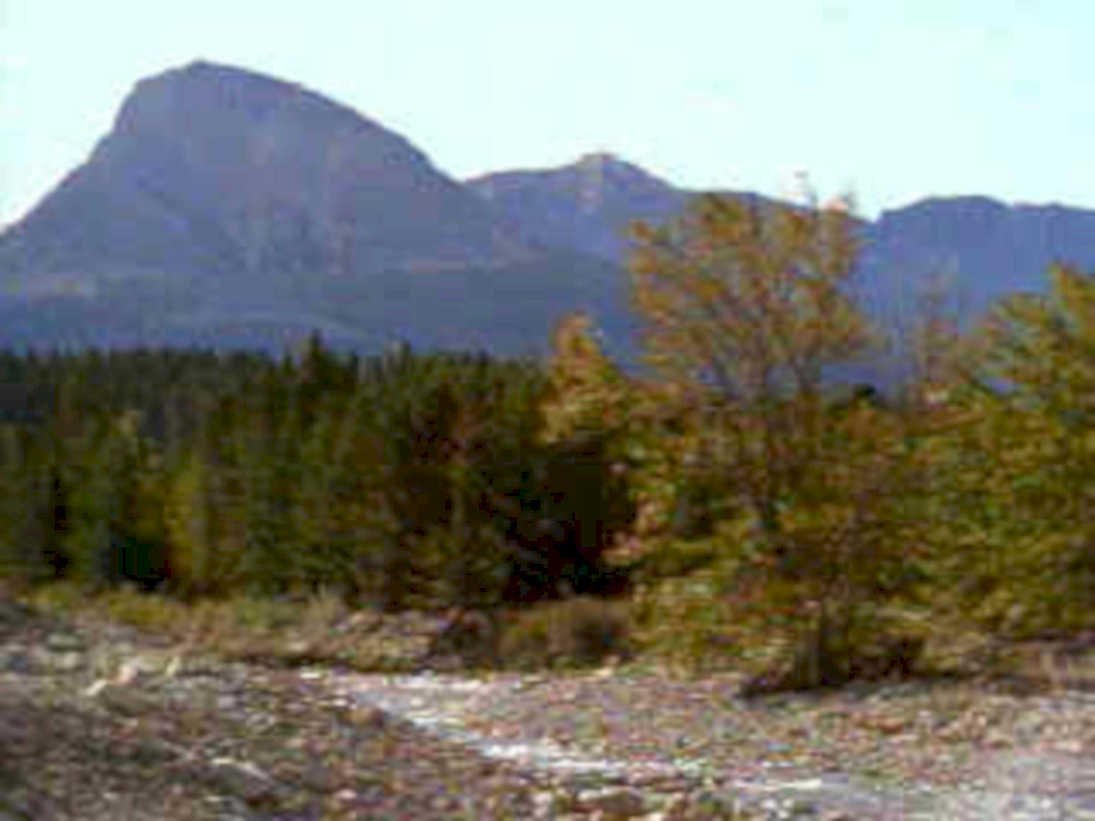 mountain forest river1980s 1990s A4 Photo Print