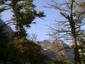 mountain forest scene1980s 1990s A4 Photo Print 42