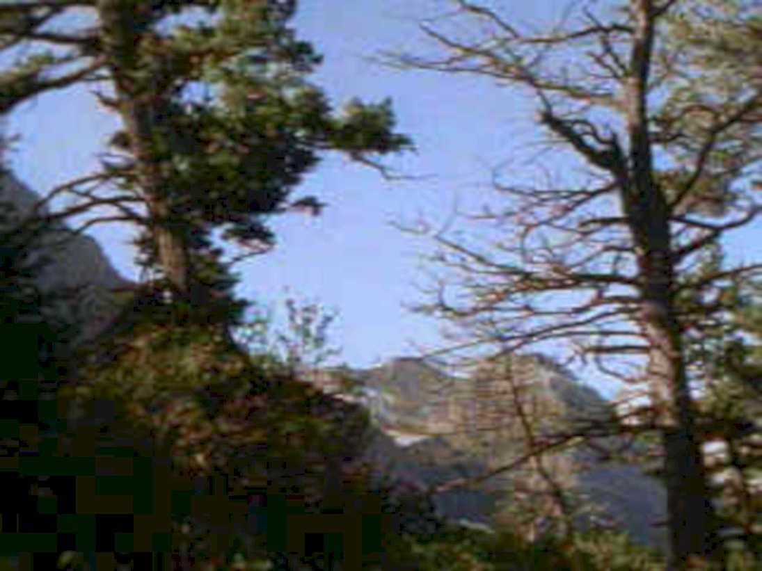 mountain forest scene1980s 1990s A4 Photo Print 42