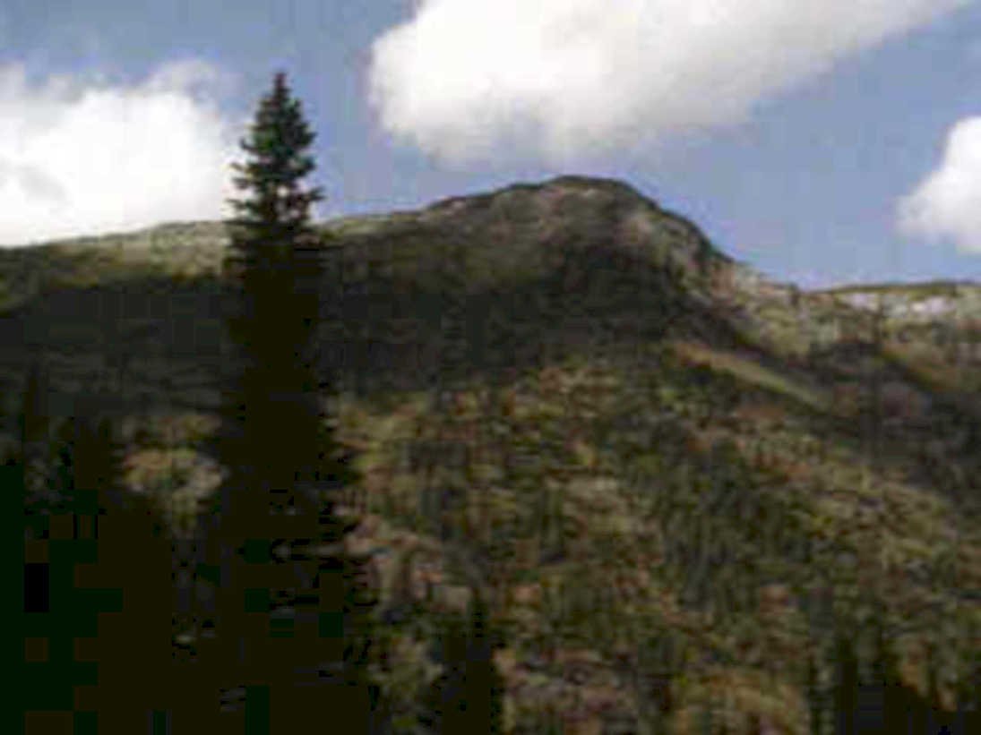 mountain forest scene1980s 1990s A4 Photo Print