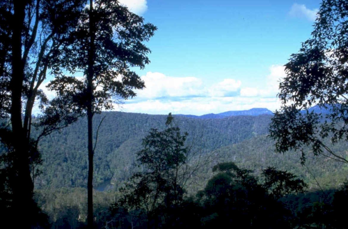 mountain forest vista 1980s 1990s A4 Photo Print