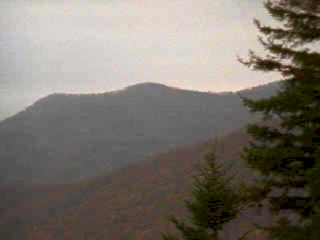 mountain range trees1980s 1990s A4 Photo Print