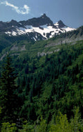 mountain snow forest 1980s 1990s A4 Photo Print