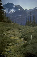 mountain stream bridge Vintage A4 Photo Print