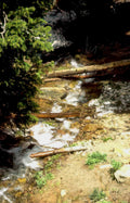mountain stream crossing Vintage A4 Photo Print
