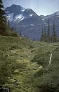 mountain stream glacier Vintage A4 Photo Print