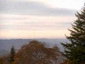 mountain sunrise trees1980s 1990s A4 Photo Print