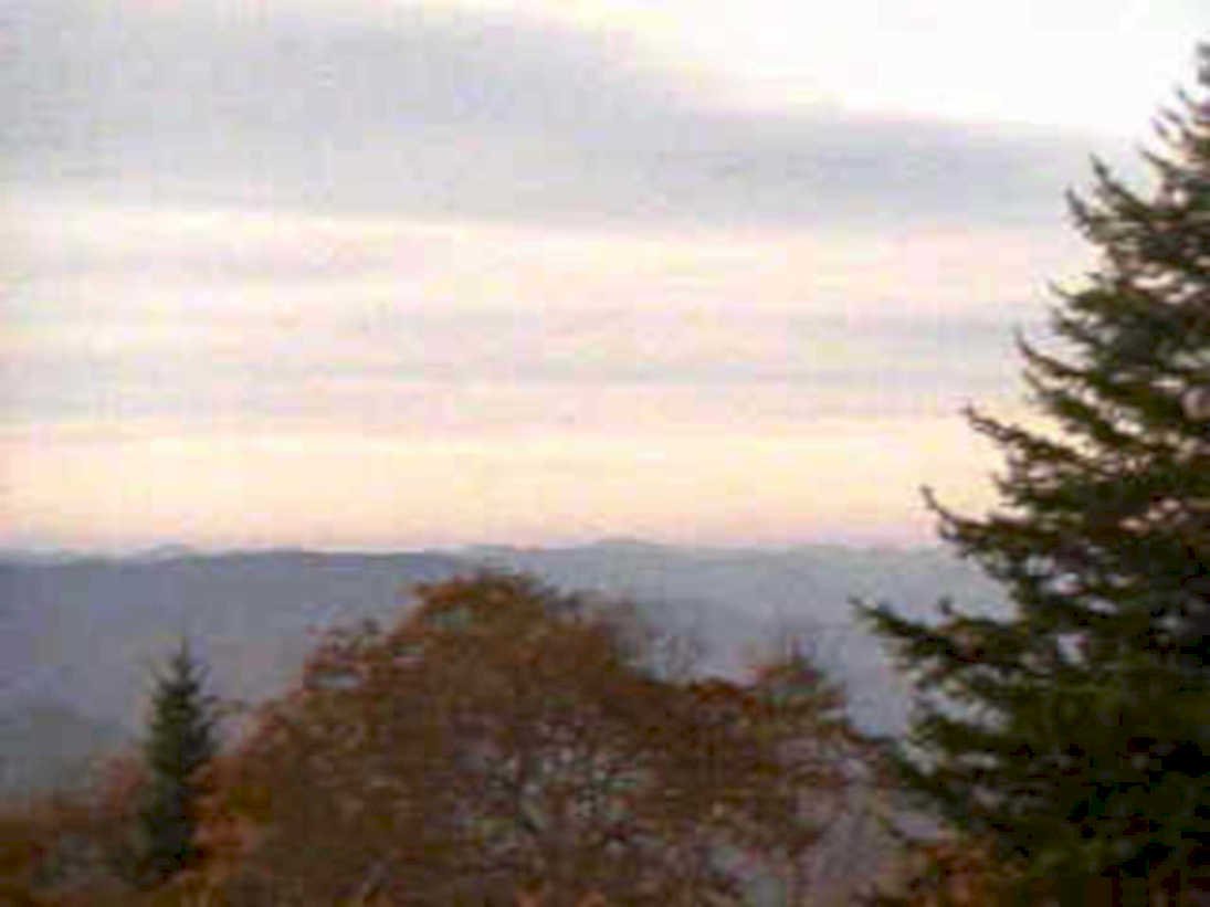 mountain sunrise trees1980s 1990s A4 Photo Print