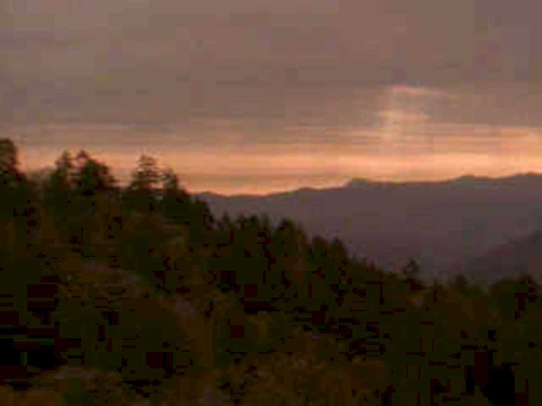 mountain sunset trees1980s 1990s A4 Photo Print