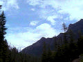 mountain trees sky1980s 1990s A4 Photo Print