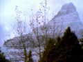 mountain vista forest1980s 1990s A4 Photo Print