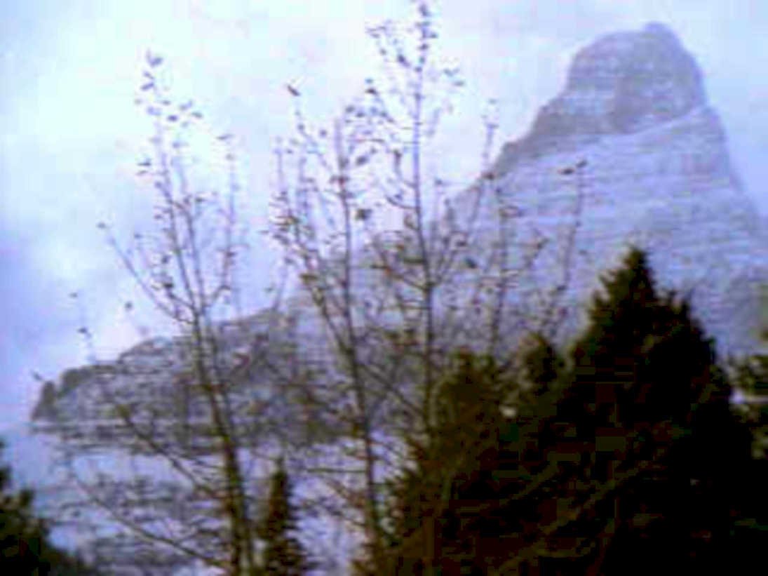 mountain vista forest1980s 1990s A4 Photo Print