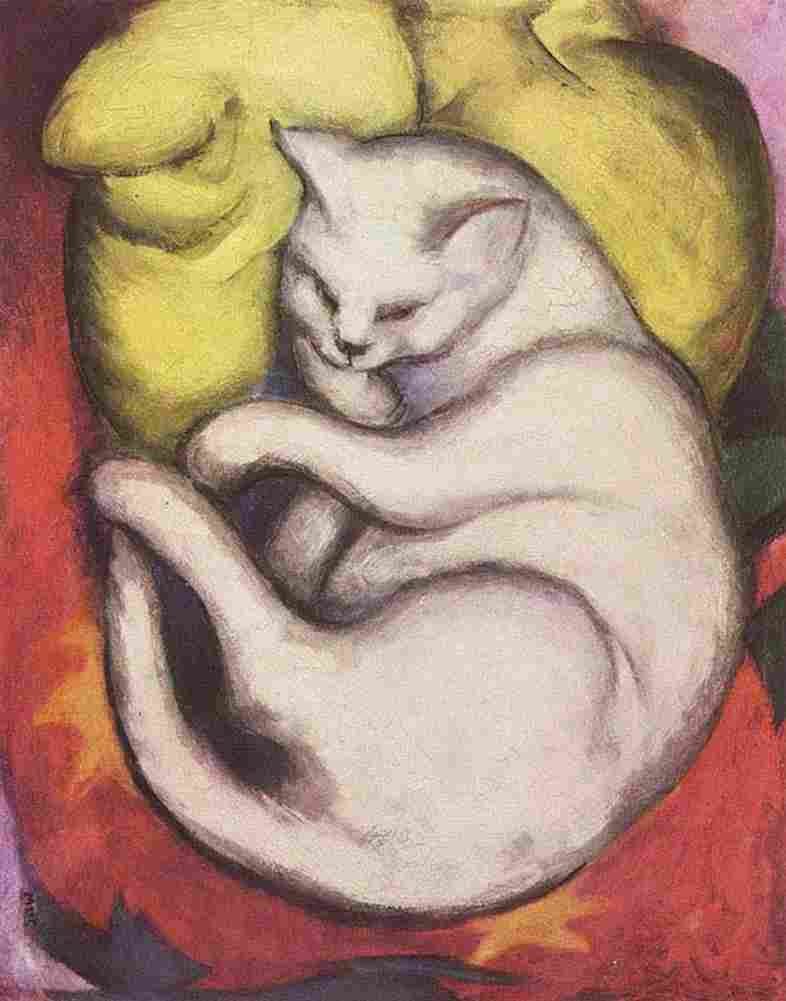 mrc Cat Art A4 Photo Print