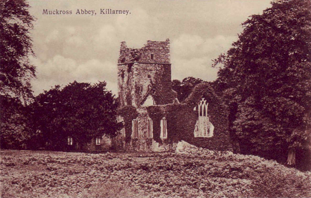 muckross abbey killarneyVintage 1880s 1900s A4 Photo Print