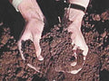 mud hands feet1980s 1990s A4 Photo Print