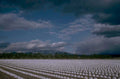mulch citrus mountains 1980s 1990s A4 Photo Print