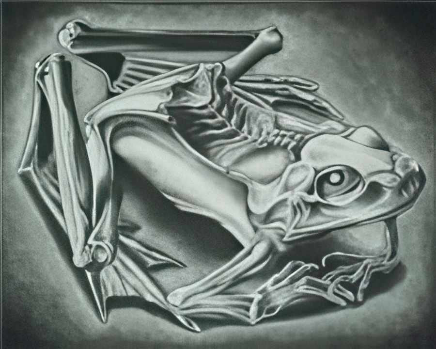 mumified frog mc escher 1946 A4 Photo Print