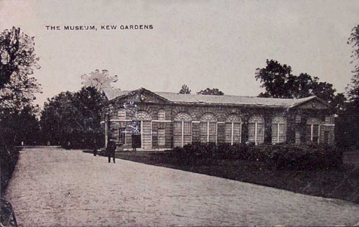 museum kew gardensVintage 1880s 1900s A4 Photo Print