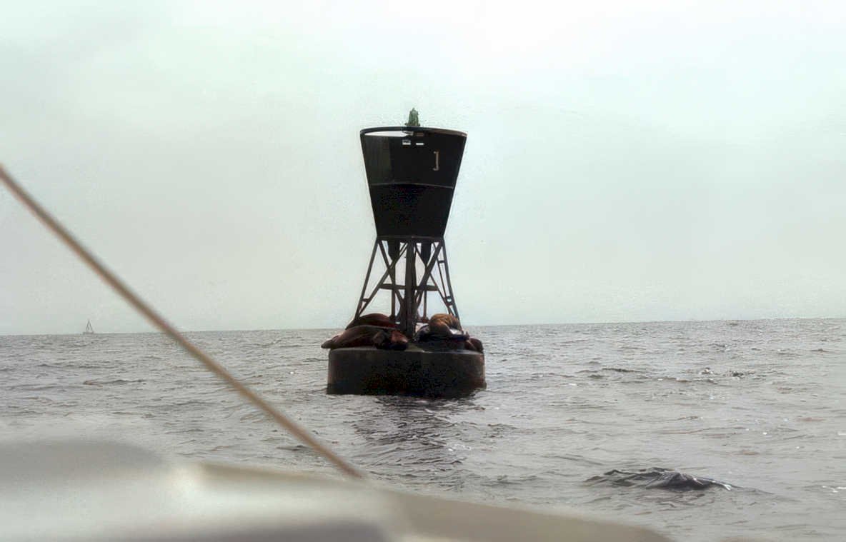 nautical buoy ocean Vintage A4 Photo Print