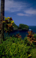 navaga i coast 1980s 1990s A4 Photo Print