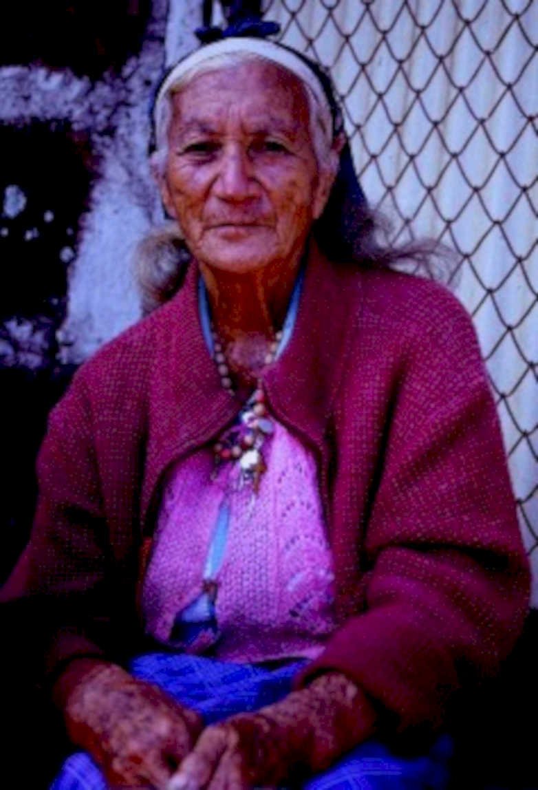 navajoelder fence 20241980s 1990s A4 Photo Print