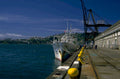 naval ship canterbury 1980s 1990s A4 Photo Print