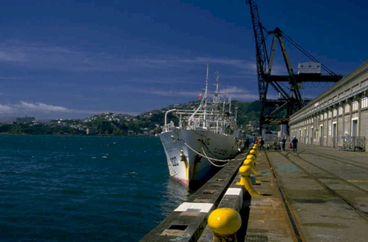 naval ship canterbury 1980s 1990s A4 Photo Print