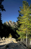 needles highway aspen 1980s 1990s A4 Photo Print