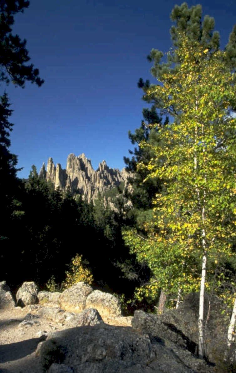 needles highway aspen 1980s 1990s A4 Photo Print