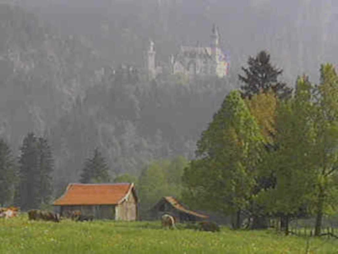 neuschwanstein castle bavaria 21980s 1990s A4 Photo Print