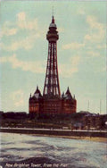 new brighton towerVintage 1880s 1900s A4 Photo Print