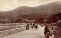 newcastle mourne mountainsVintage 1880s 1900s A4 Photo Print