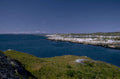 newfoundland coastline birds 1980s 1990s A4 Photo Print
