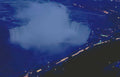 niagarafalls rainbowbridge night Vintage A4 Photo Print
