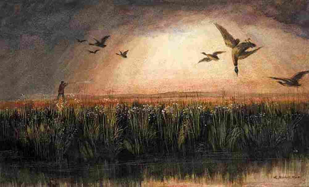 nich Duck Shooting Art A4 Photo Print