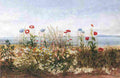 nich View of Howth Art A4 Photo Print