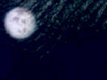 night moon clouds1980s 1990s A4 Photo Print