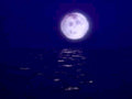 night moon ocean 11980s 1990s A4 Photo Print
