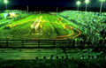 night motocross race Vintage A4 Photo Print