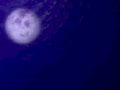 night sky moon1980s 1990s A4 Photo Print