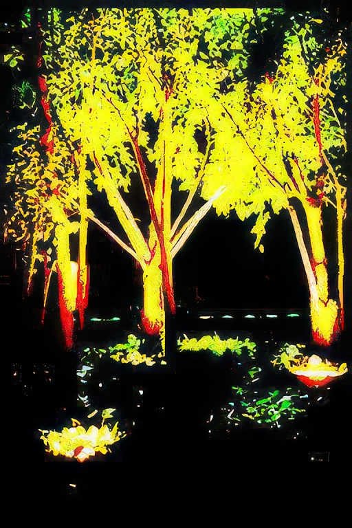 night trees light Vintage A4 Photo Print