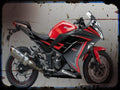 ninja 250 beet A4 Photo Print Motorbike Vintage Aged