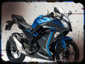 ninja 250 special edition A4 Photo Print Motorbike Vintage Aged