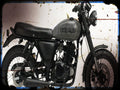 nomad 250 Herald A4 Photo Print Motorbike Vintage Aged