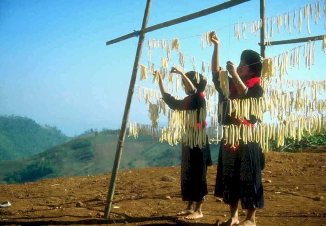 noodles drying women1980s 1990s A4 Photo Print