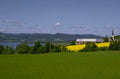 norway barn rapeseed 1980s 1990s A4 Photo Print