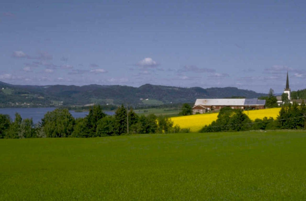 norway barn rapeseed 1980s 1990s A4 Photo Print