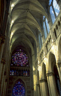 notre dame rose 1 1980s 1990s A4 Photo Print