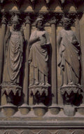 notre dame rose 1980s 1990s A4 Photo Print 42