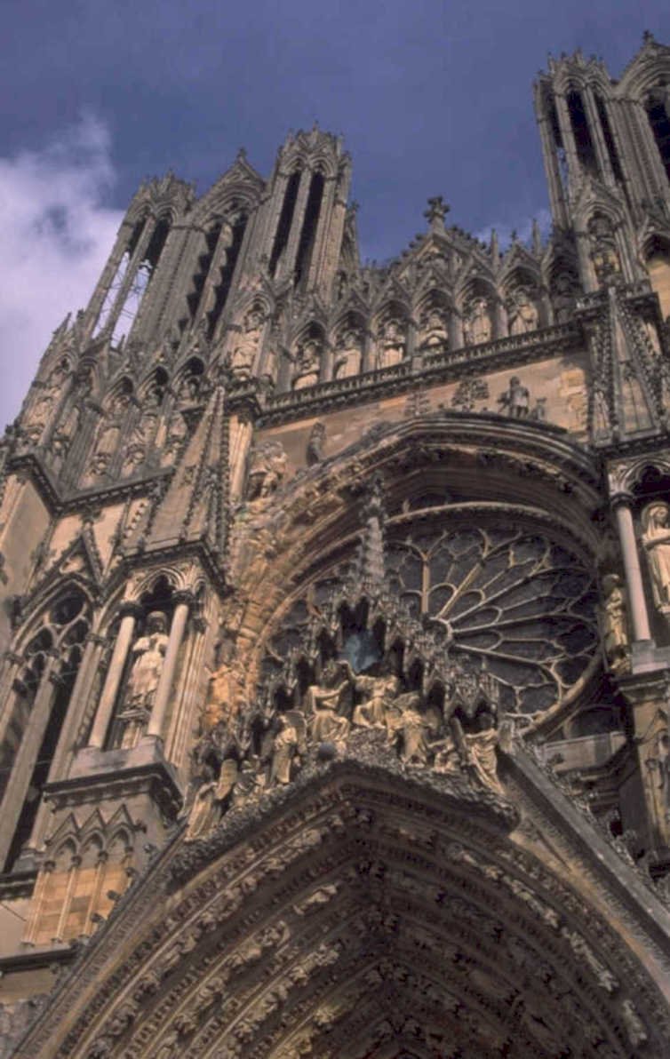 notre dame rose 1980s 1990s A4 Photo Print